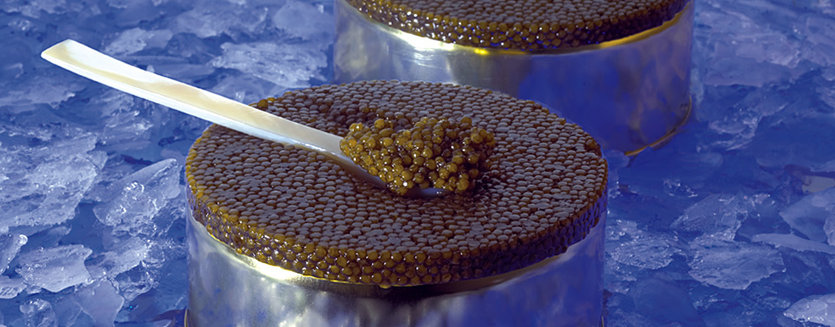 IL CAVIALE – LA PERLA NERA REALE