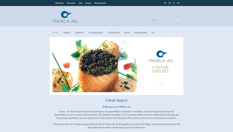 NEUER WEBAUFTRITT DER TREBLA AG